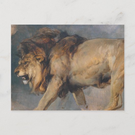 Studie van een leeuw (door Edwin Henry Landseer) Briefkaart (Voorkant)