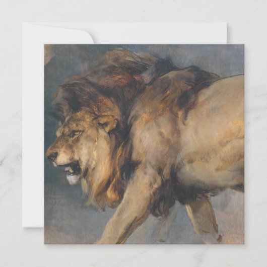 Studie van een leeuw (door Edwin Henry Landseer) Kaart (Voorkant)