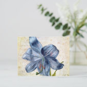 Studie van een lelie, 1526 briefkaart (Staand voorkant)