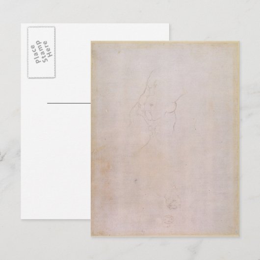Studie van een mannelijke romp briefkaart (Voorkant / Achterkant)
