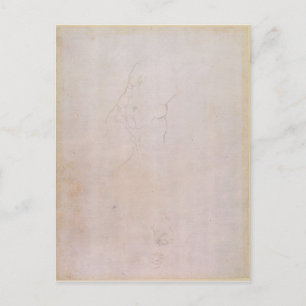 Studie van een mannelijke romp briefkaart