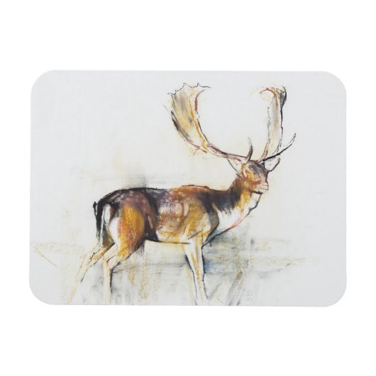 Studie van een Stag Magneet (Horizontaal)