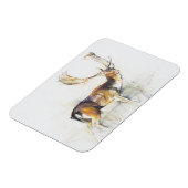 Studie van een Stag Magneet (Linkerzijde)
