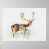 Studie van een Stag Poster (Voorkant)