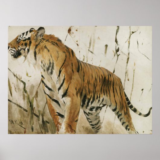 Studie van een tijger door Wilhelm Kuhnert Poster (Voorkant)