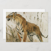 Studie van een tijger | Wilhelm Kuhnert (Voorkant / Achterkant)