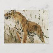 Studie van een tijger | Wilhelm Kuhnert Briefkaart (Voorkant)