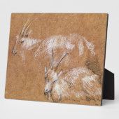 Studie van geiten (tekening) fotoplaat (Zijkant)