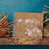 Studie van geiten (tekening) fotoplaat (Zijkant)