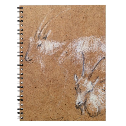 Studie van geiten (tekening) notitieboek (Voorkant)