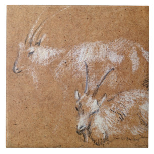 Studie van geiten (tekening) tegeltje