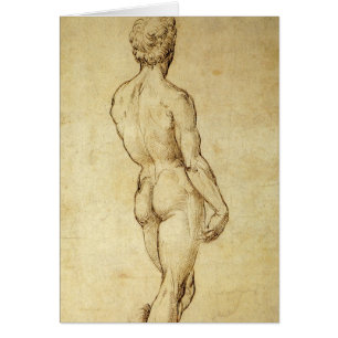 Studie van het David-standbeeld van Michelangelo d