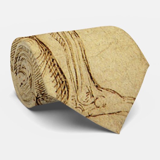 Studie van het David-standbeeld van Michelangelo d Stropdas (Opgerold)