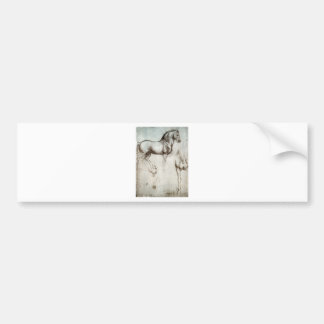 Studie van het paard. bumpersticker