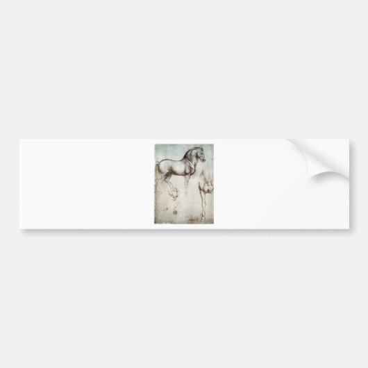 Studie van het paard. bumpersticker (Voorkant)