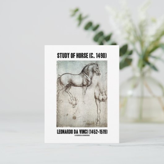 Studie van het paard (ca. 1490) Leonardo da Vinci Briefkaart (Staand voorkant)