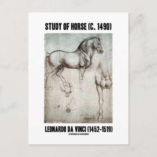 Studie van het paard (ca. 1490) Leonardo da Vinci Briefkaart (Voorkant)
