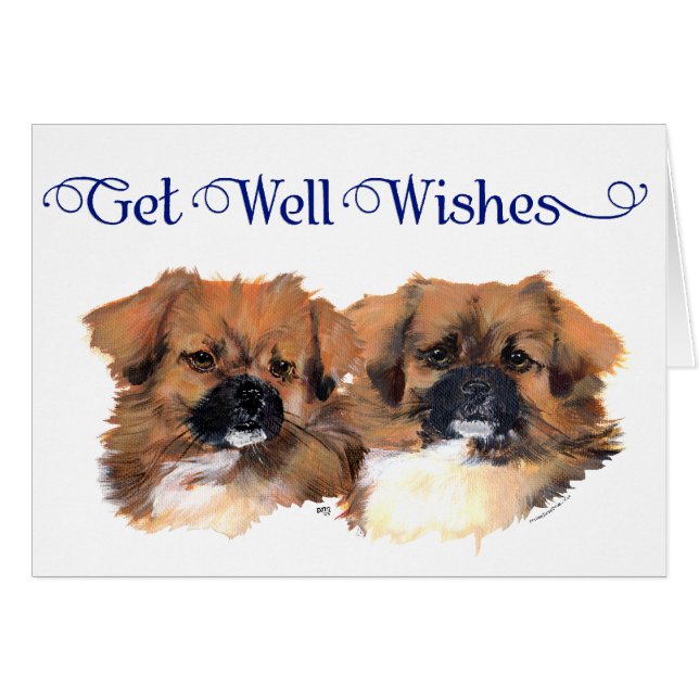 Studie van het Tibetaanse Spanjaardshoofd (Voorkant Horizontaal)