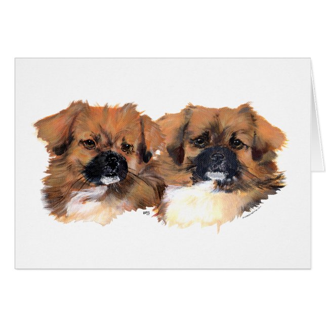 Studie van het Tibetaanse Spanjaardshoofd (Voorkant Horizontaal)