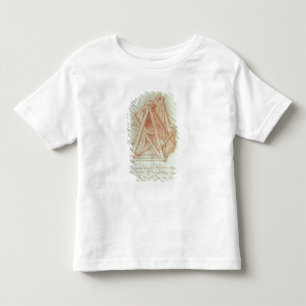 Studie van het Wooden-kader met Casting Kinder Shirts