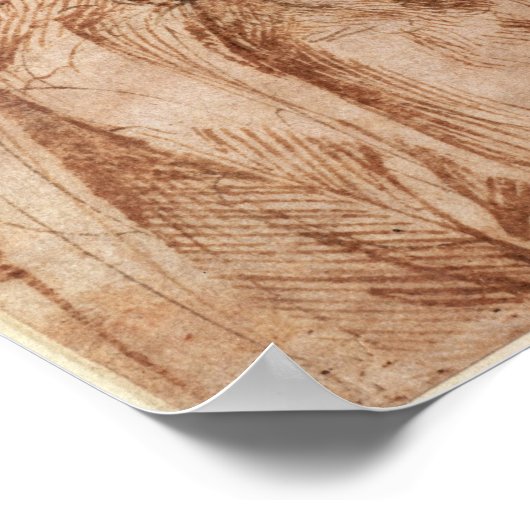 Studie van hoofd en schouders poster (Hoek)