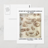 Studie van katten en andere dieren (Leonardo da Vi Briefkaart (Voorkant / Achterkant)