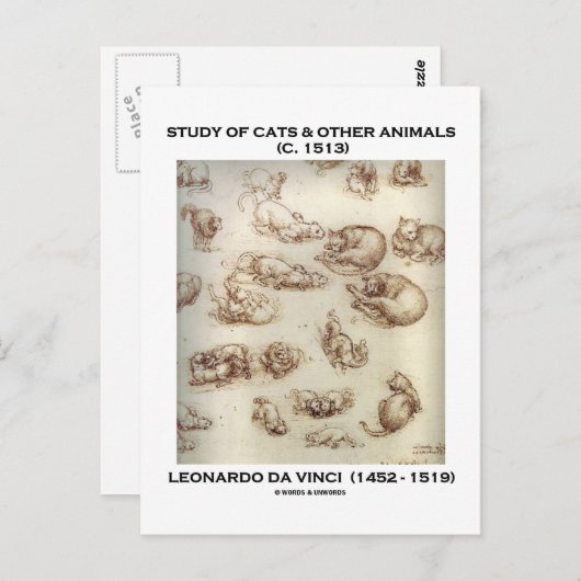 Studie van katten en andere dieren (Leonardo da Vi Briefkaart (Voorkant / Achterkant)