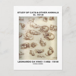 Studie van katten en andere dieren (Leonardo da Vi Briefkaart