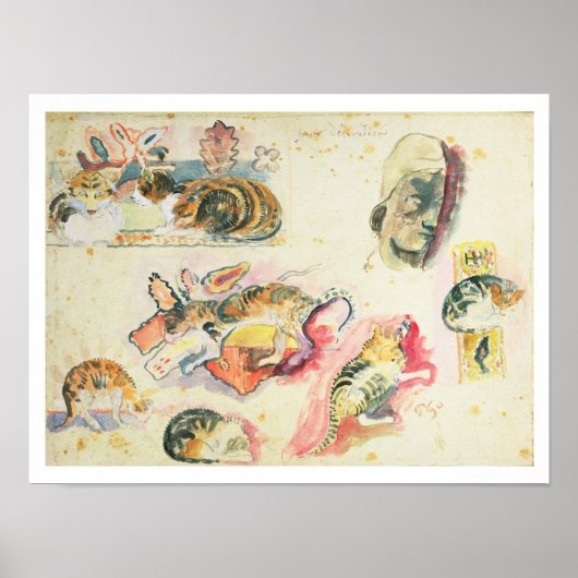 Studie van katten en een kop (m/v op papier) poster (Voorkant)