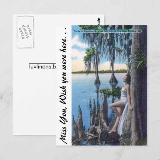 Studie van Knees Briefkaart (Voorkant / Achterkant)