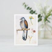 Studie van Lesser Kestrel en Bloem, Arcimboldo Briefkaart (Staand voorkant)