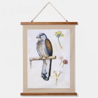 Studie van Lesser Kestrel en Bloem, Arcimboldo