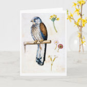 Studie van Lesser Kestrel en Bloem, Arcimboldo Kaart (Gele Bloem)