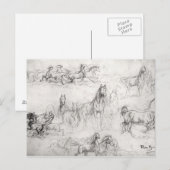 Studie van Paarden Briefkaart (Voorkant / Achterkant)
