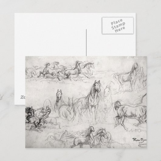 Studie van Paarden Briefkaart (Voorkant / Achterkant)