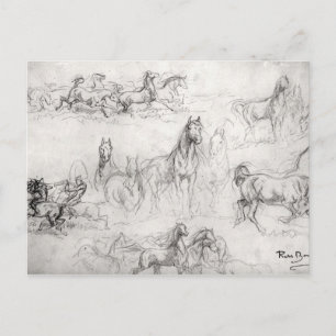 Studie van Paarden Briefkaart