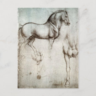 Studie van paarden - Leonardo da Vinci Briefkaart