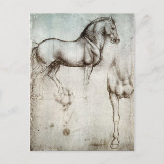 Studie van paarden - Leonardo da Vinci Briefkaart