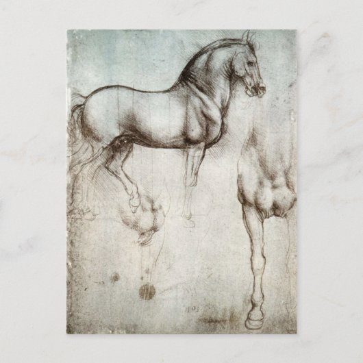 Studie van paarden - Leonardo da Vinci Briefkaart (Voorkant)