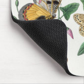 Studie van Paul Gervais naar diurnale vlinders Muismat (Hoek)