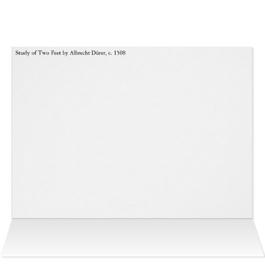 Studie van Two Feet Albrecht Durer (Binnen Horizontaal (Boven))