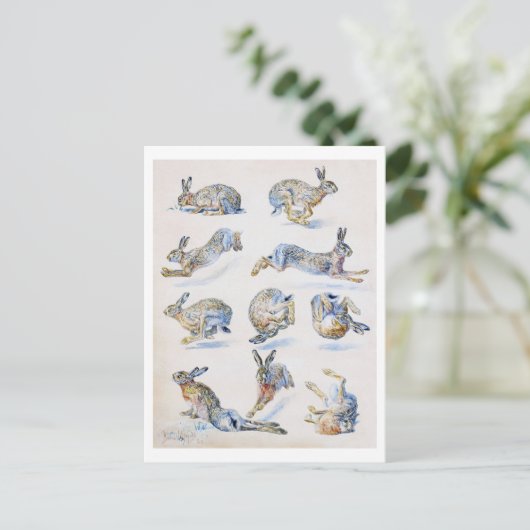 Studies met wilde Hare (konijn), Bruno Liljefors Briefkaart (Staand voorkant)