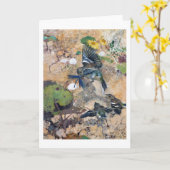 Studies met wilde Hare (konijn), Bruno Liljefors Kaart (Gele Bloem)