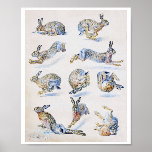 Studies met wilde Hare (konijn), Bruno Liljefors Poster (Voorkant)