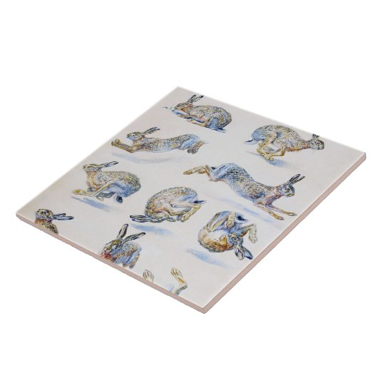 Studies met wilde Hare (konijn), Bruno Liljefors Tegeltje (Zijkant)