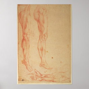 Studies over legers en wapens poster