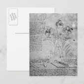 Studies over Violas Briefkaart (Voorkant / Achterkant)