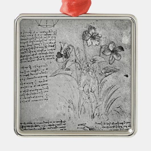 Studies over Violas Metalen Ornament (Voorkant)