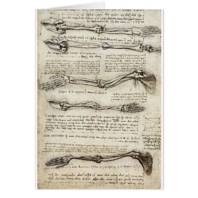 Studies van de Arm door Leonardo Da Vinci c. 1510 (Voorkant)