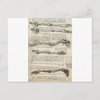 Studies van de Arm door Leonardo Da Vinci c. 1510 Briefkaart